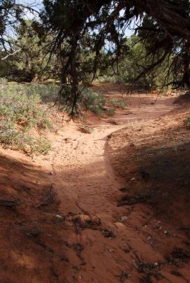 Following a wash back toward Delicate Arch