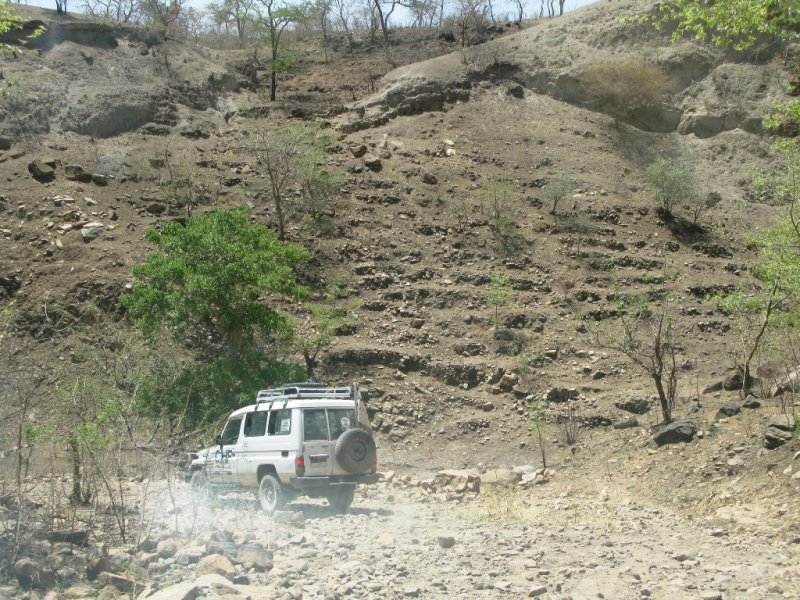 Rough terrain