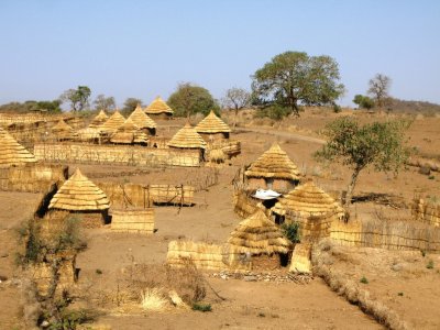 New huts at Tobeing