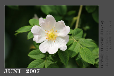c200706.jpg