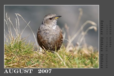 c200708.jpg