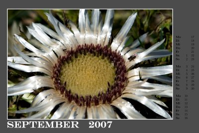 c200709.jpg