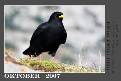 c200710.jpg