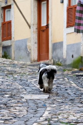 Lisbon2007_25.jpg