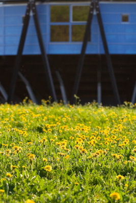 spring_05.jpg