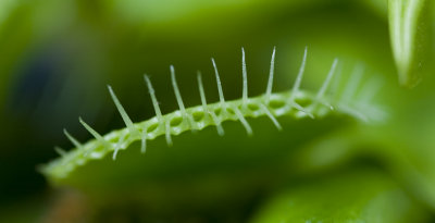 g6/93/613693/3/69136546.OiGVBikd.jpg