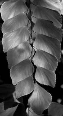 National Botanical Gardens 11-10-06