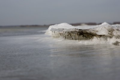 Assateague 07-15.jpg