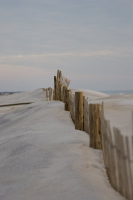 Assateague 07-23.jpg