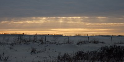 Assateague 07-24.jpg