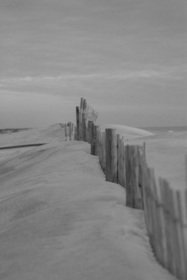 Assateague 07-23bw.jpg