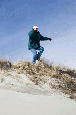 Dunedan.gif