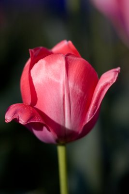 LX7O9225.jpg