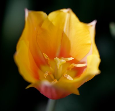 LX7O9368.jpg