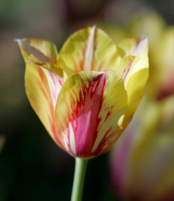 LX7O9373.jpg