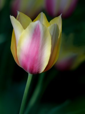 LX7O9381.jpg