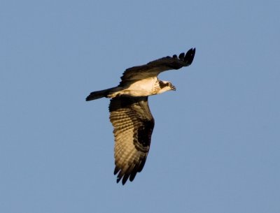 LX7O9798.jpg