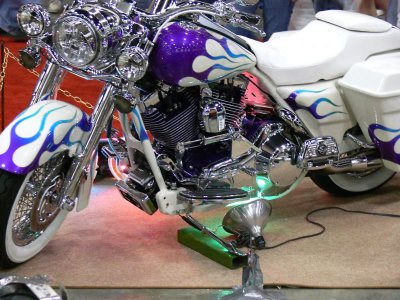 P1010575a.jpg