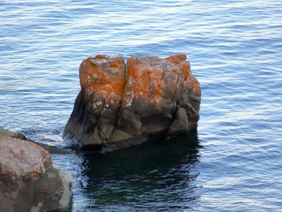 050 Lichen covered rock