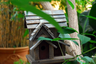 Birdbox