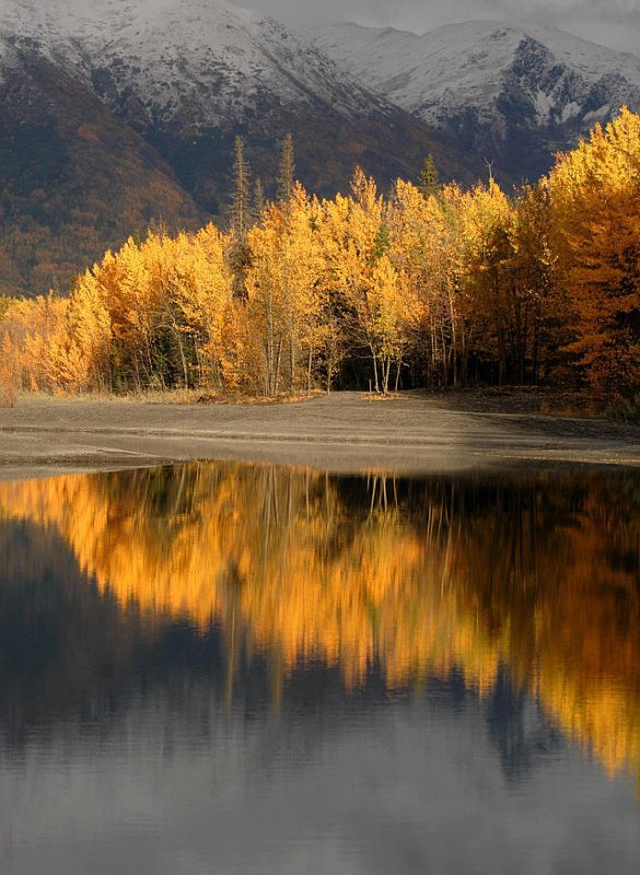 Fall Colors