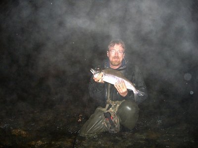 Early Mornin' Rain, Fog, Me and a Male Pink