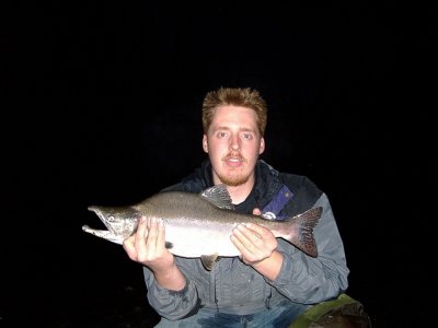 A Male Pink Salmon