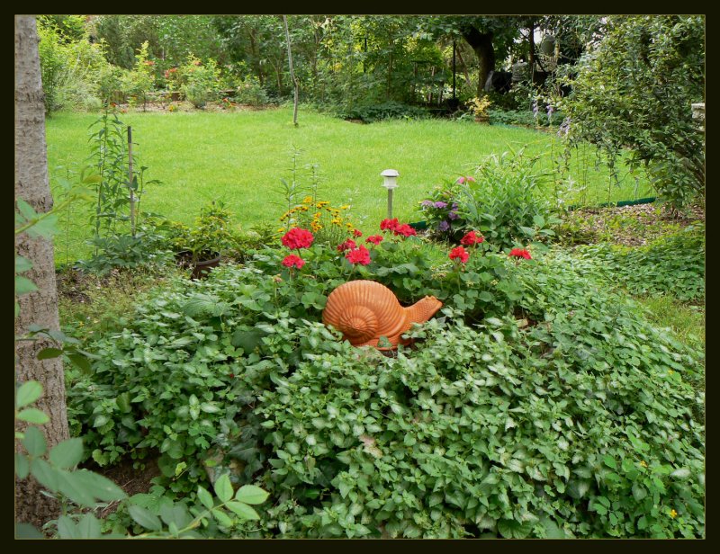 Garden pet