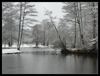 Winter morning