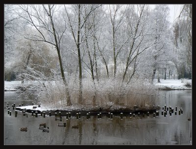 Isle at the lake