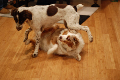 Christmas2006.jpg