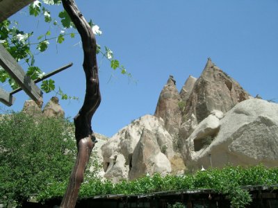 Cappodocia .jpg