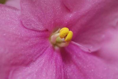 DSC_0634.jpg