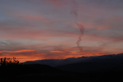 DSC_0772.jpg