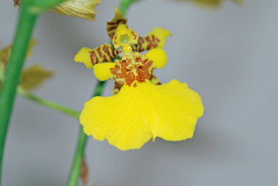 DSC_3000_edited-1.jpg