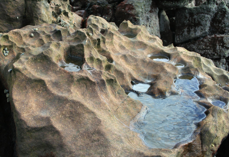 dalgety bay_5