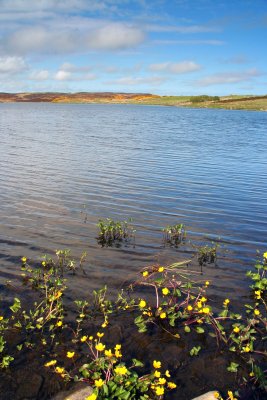 loch watenan, wick