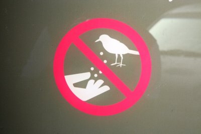 No feeding birds