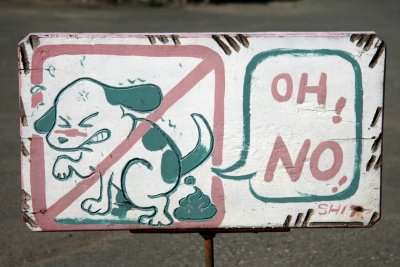 No dogs