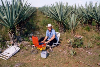 2001 fieldwork