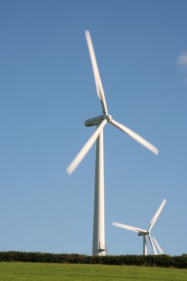 g6/93/684593/3/85596795.RxzKLeqJ.jpg