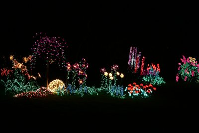 Garden of Lights