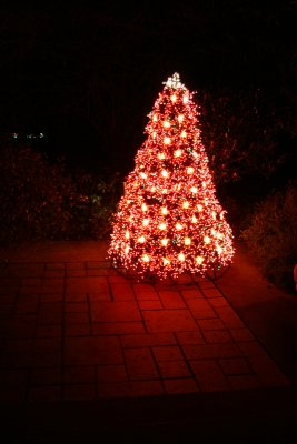 Garden d'Lights
