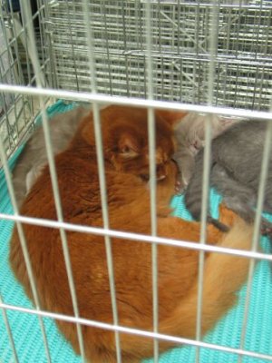 image103.jpg