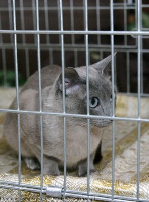 img_0442.jpg