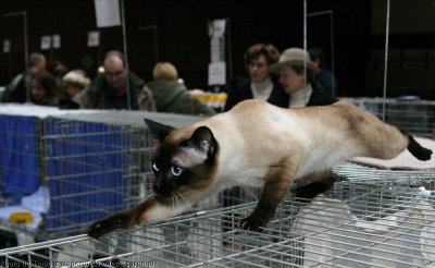 img_0583.jpg