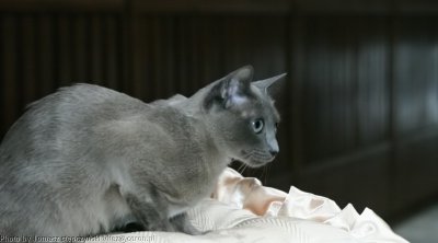 img_0598.jpg