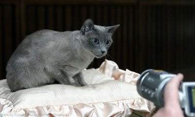 img_0599.jpg