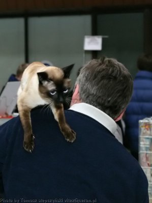img_0620.jpg
