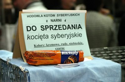 img_0688.jpg
